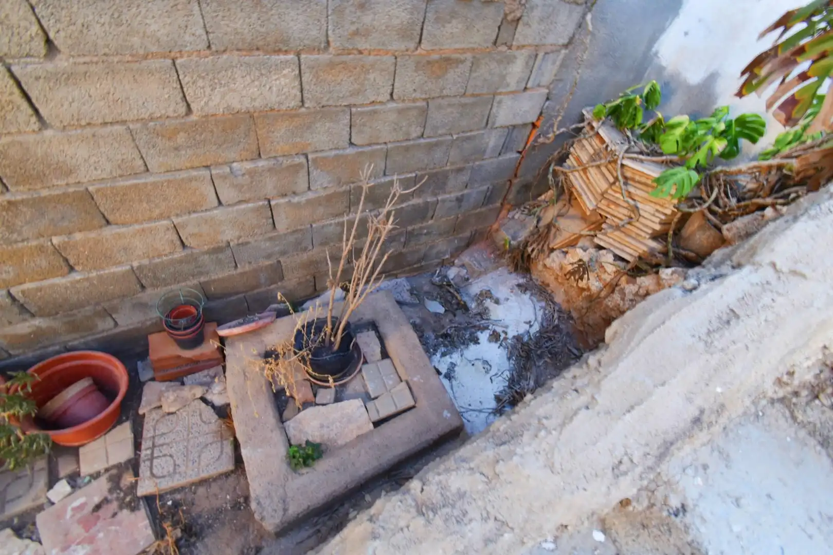 Casa en venda a El Ejido Ciudad, imagen 27