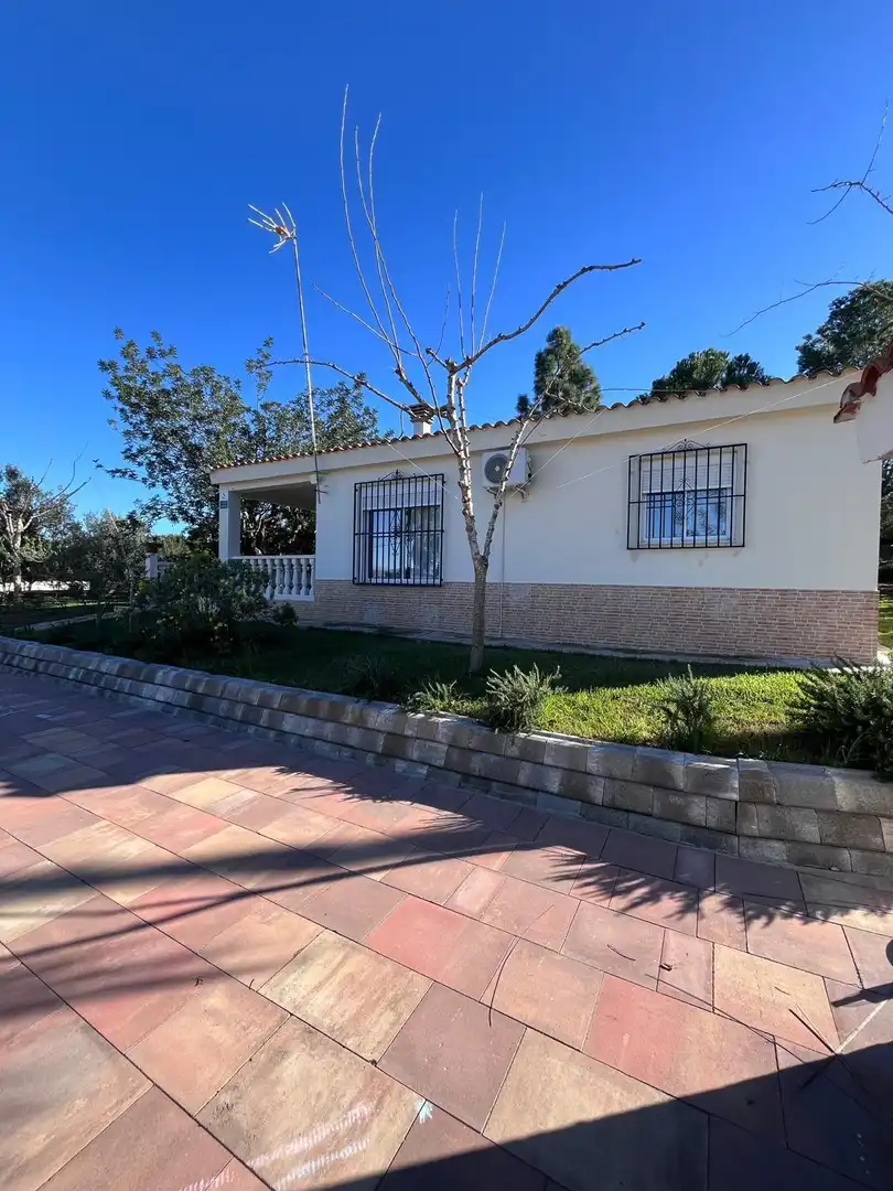 Vista exterior de Casa o xalet en venda en Vilamarxant amb Aire condicionat, Jardí privat i Terrassa