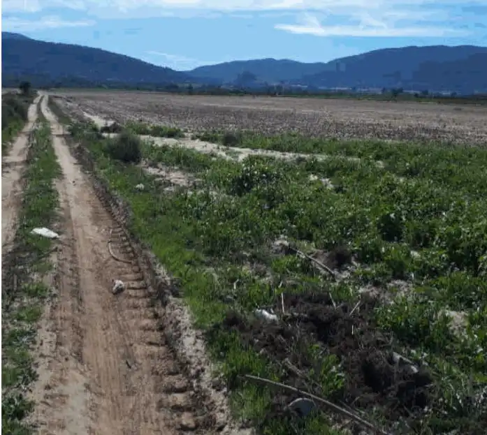 Rural land for sale in Biar, imagen 2