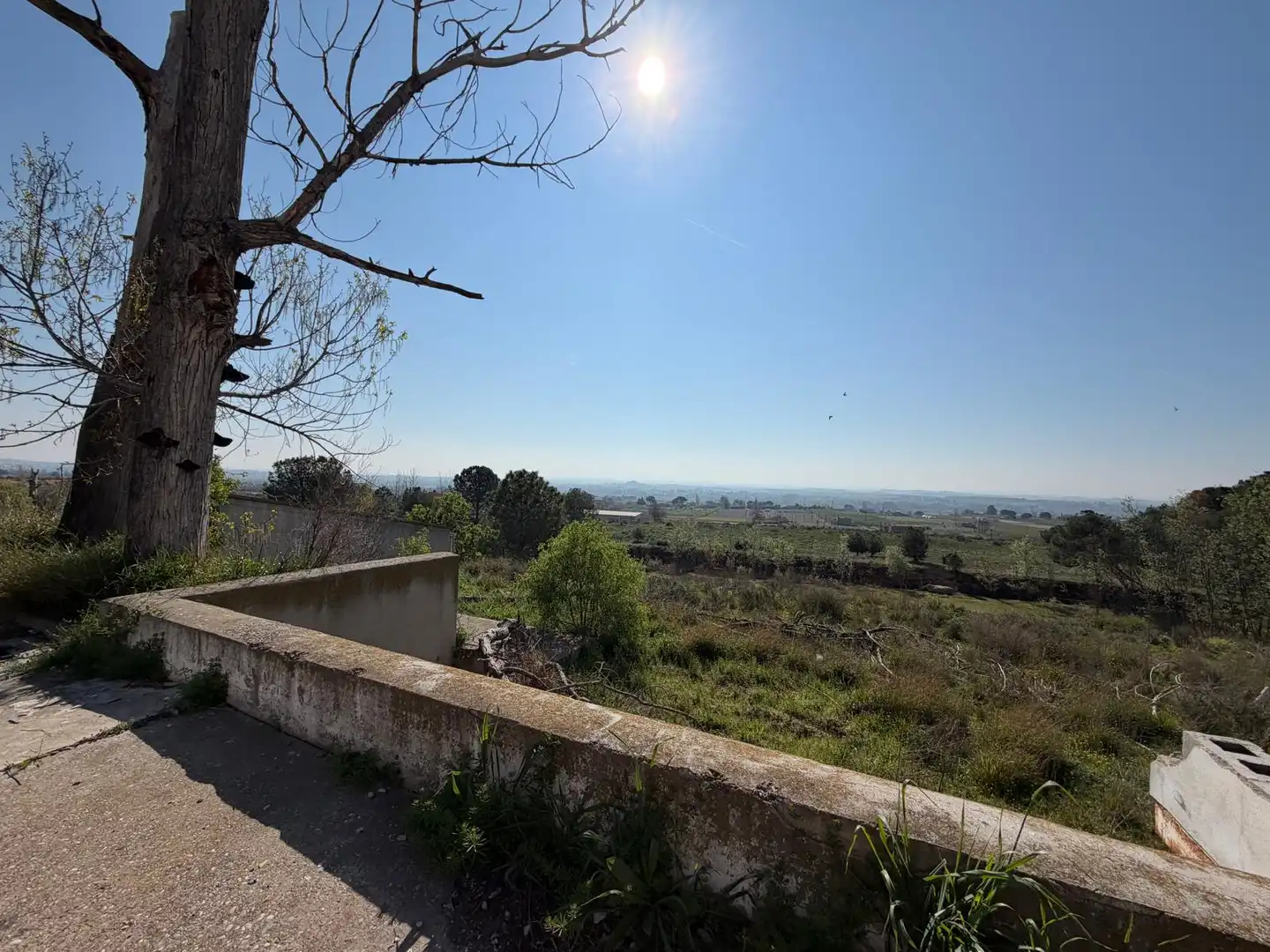 Industrial building for sale in Partida Caparrella, imagen 26