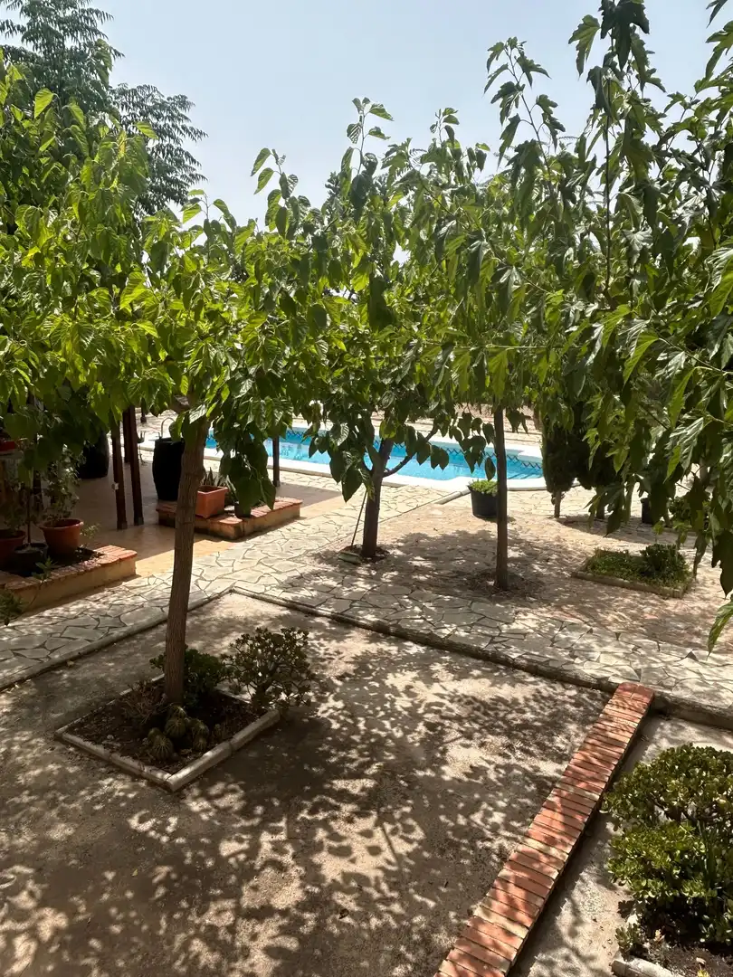 Piscina de Casa o xalet en venda en San Vicente del Raspeig / Sant Vicent del Raspeig amb Aire condicionat, Calefacció i Jardí privat