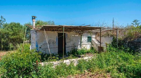 Photo 3 of Country homes for sale in Manacor Centre, Manacor