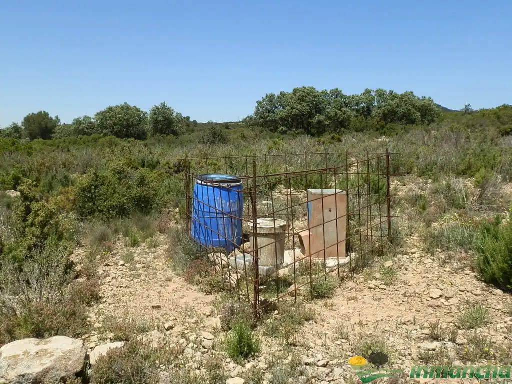 Terreni e lotti in vendita a Almansa, imagen 18