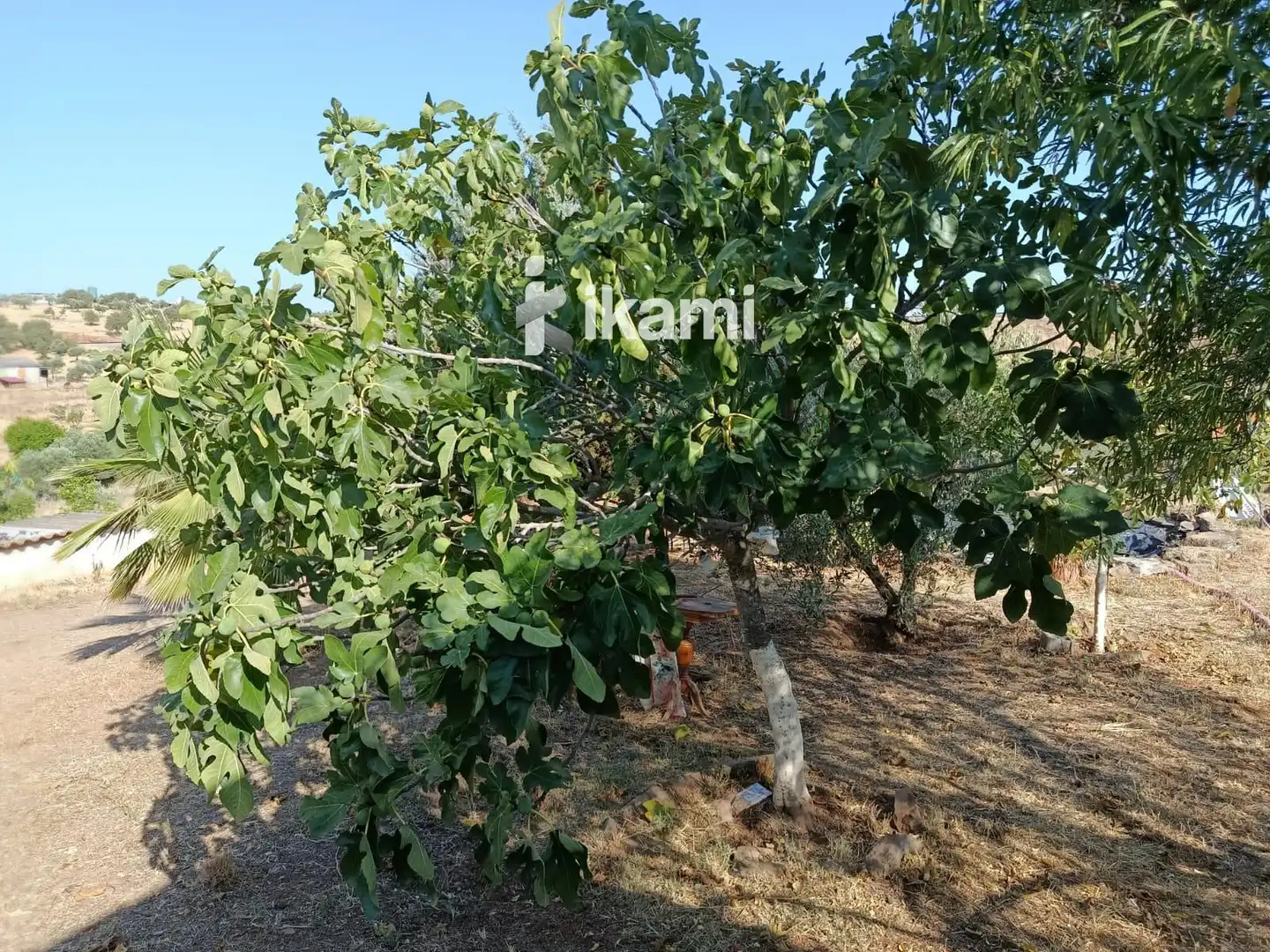 Casa o xalet en venda en Zafra amb Calefacció, Jardí privat i Terrassa
