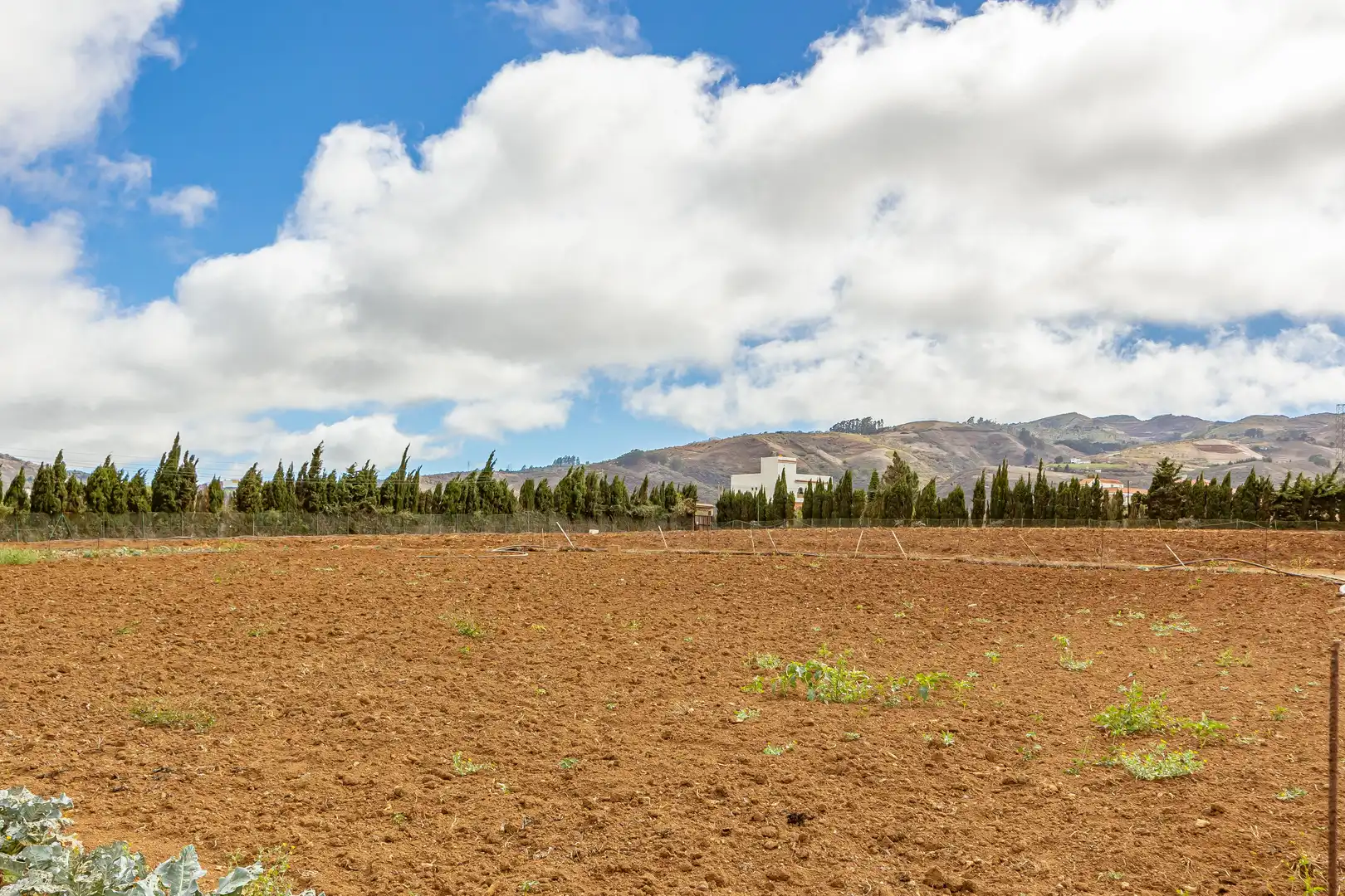Residencial en venta en Lugar Lomo del Poleo, Saucillo - Fagajesto - Juncalillo