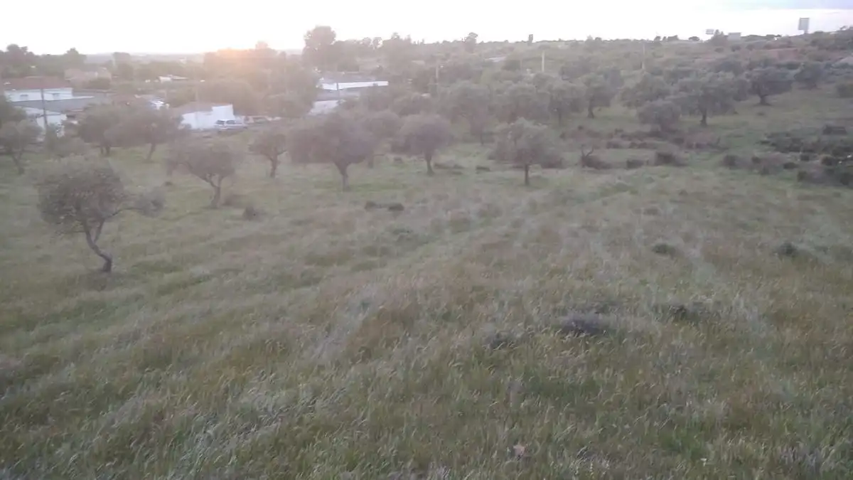 Finca rústica en venda en Mérida