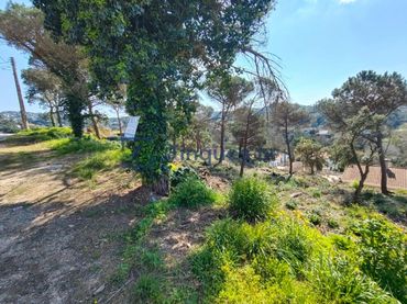 Terreni e lotti in vendita a Garriga 21