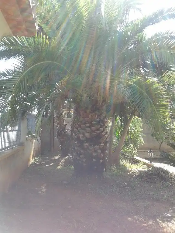 Casa en venta en La Pedrera - Vessanes, imagen 19