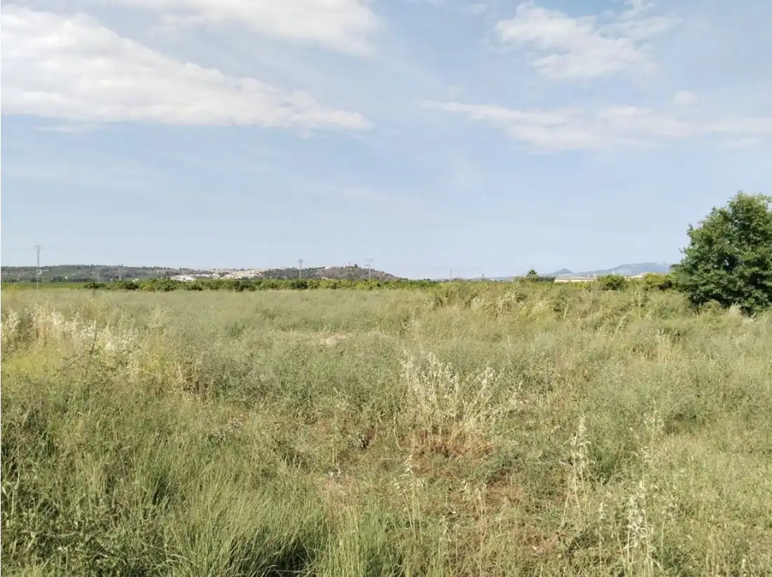 Residential land for sale in Avinguda la Vall Farta 36, imagen 3