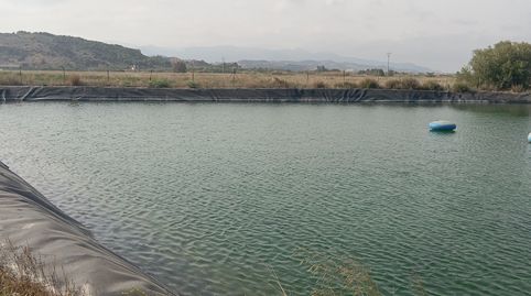 Finca agrícola de regadío en Almenara en producción, imatge 5