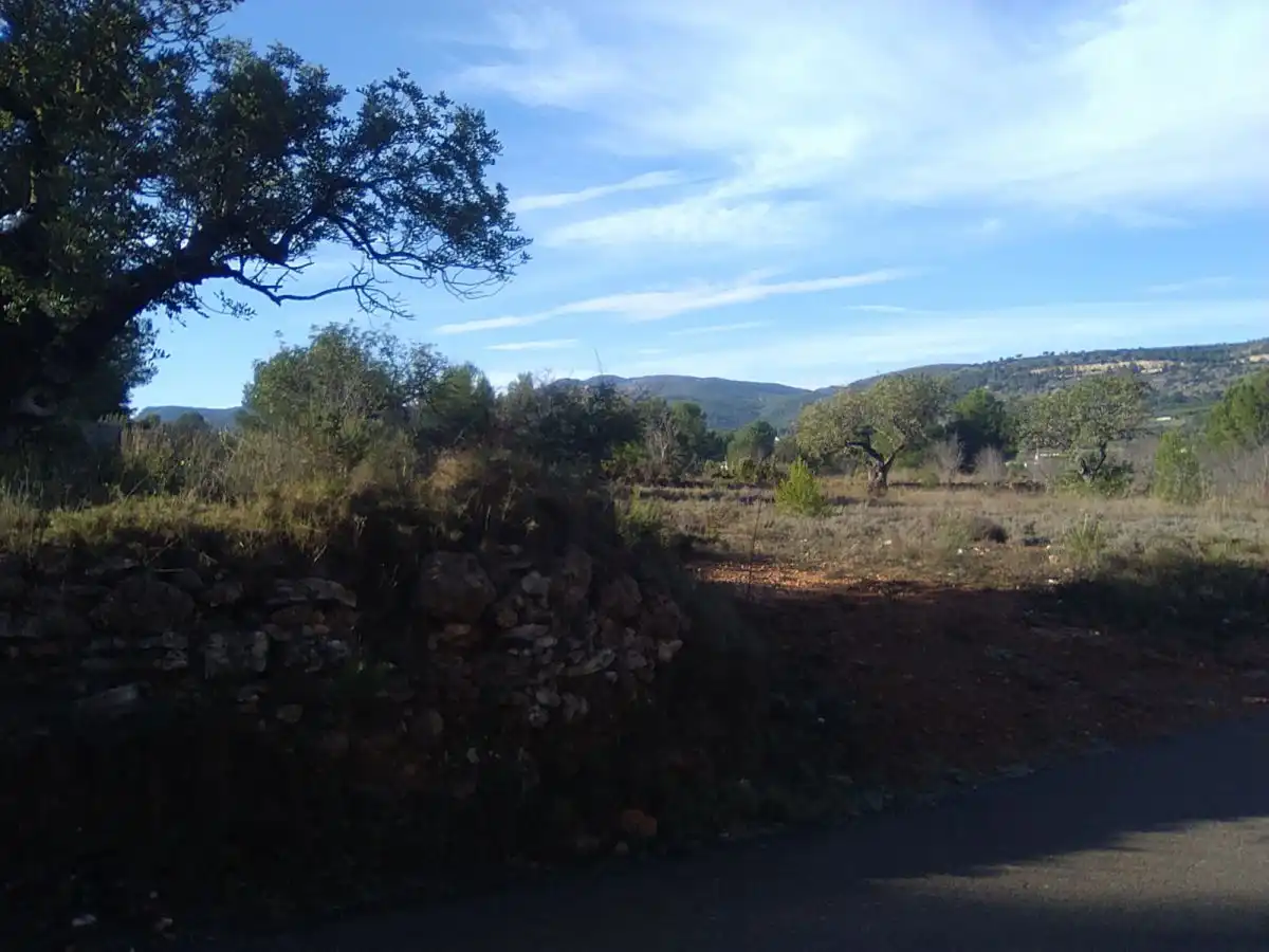 Terreno residencial en venta en Algímia de Alfara, imagen 4
