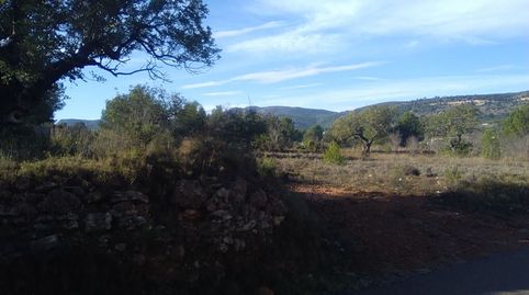 Terreno Rústico en venta en Algimia De Alfara., imatge 4