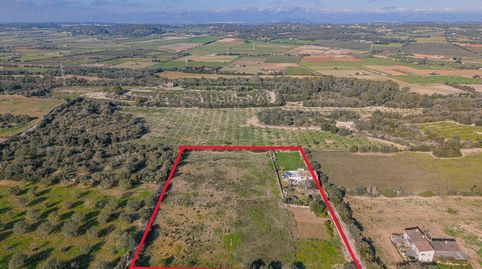 Foto 2 de Finca rústica en venda a Polígono Polígono 11 Parcela 21, Sineu, Illes Balears