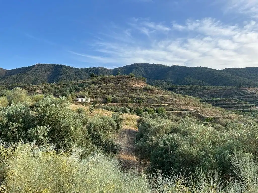 Casa rustica in vendita a El Valle, imagen 5