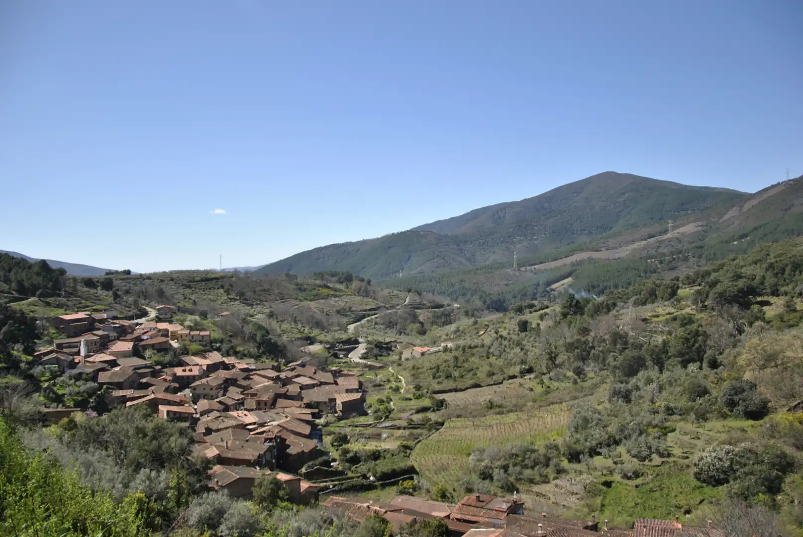 Vista exterior de Finca rústica en venda en Robledillo de Gata amb Aire condicionat, Calefacció i Jardí privat