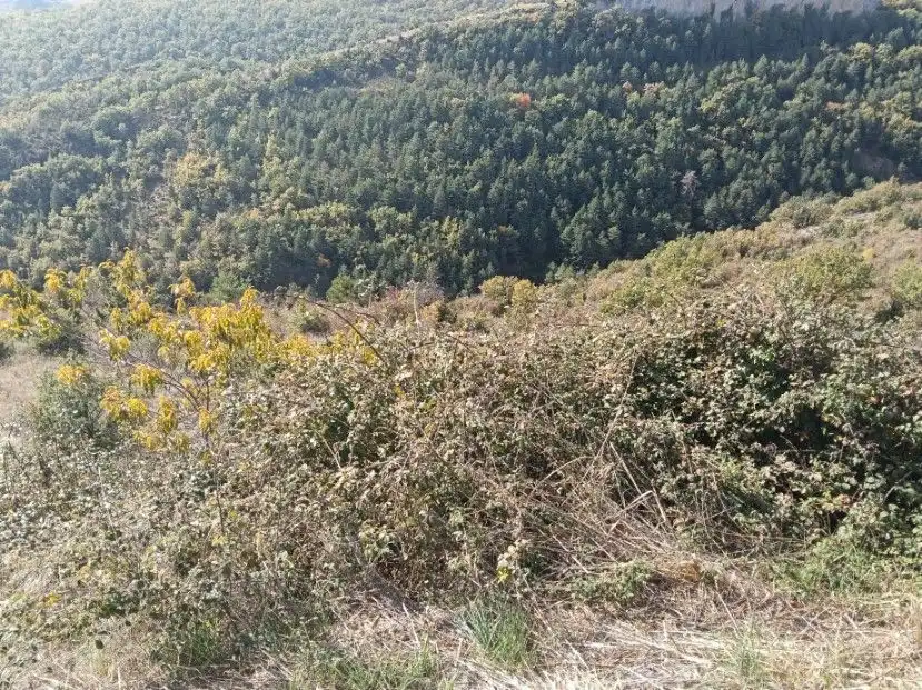Terreni e lotti in vendita a Alta, imagen 9