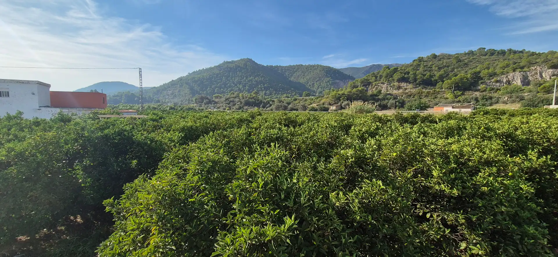 Finca rústica en venta en Favara con Jardín privado, Terraza y Piscina