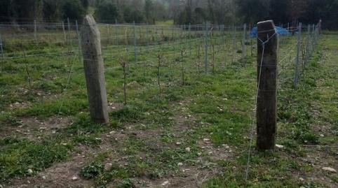 Foto 5 de Finca rústica en venda a Valle de Mena, Burgos