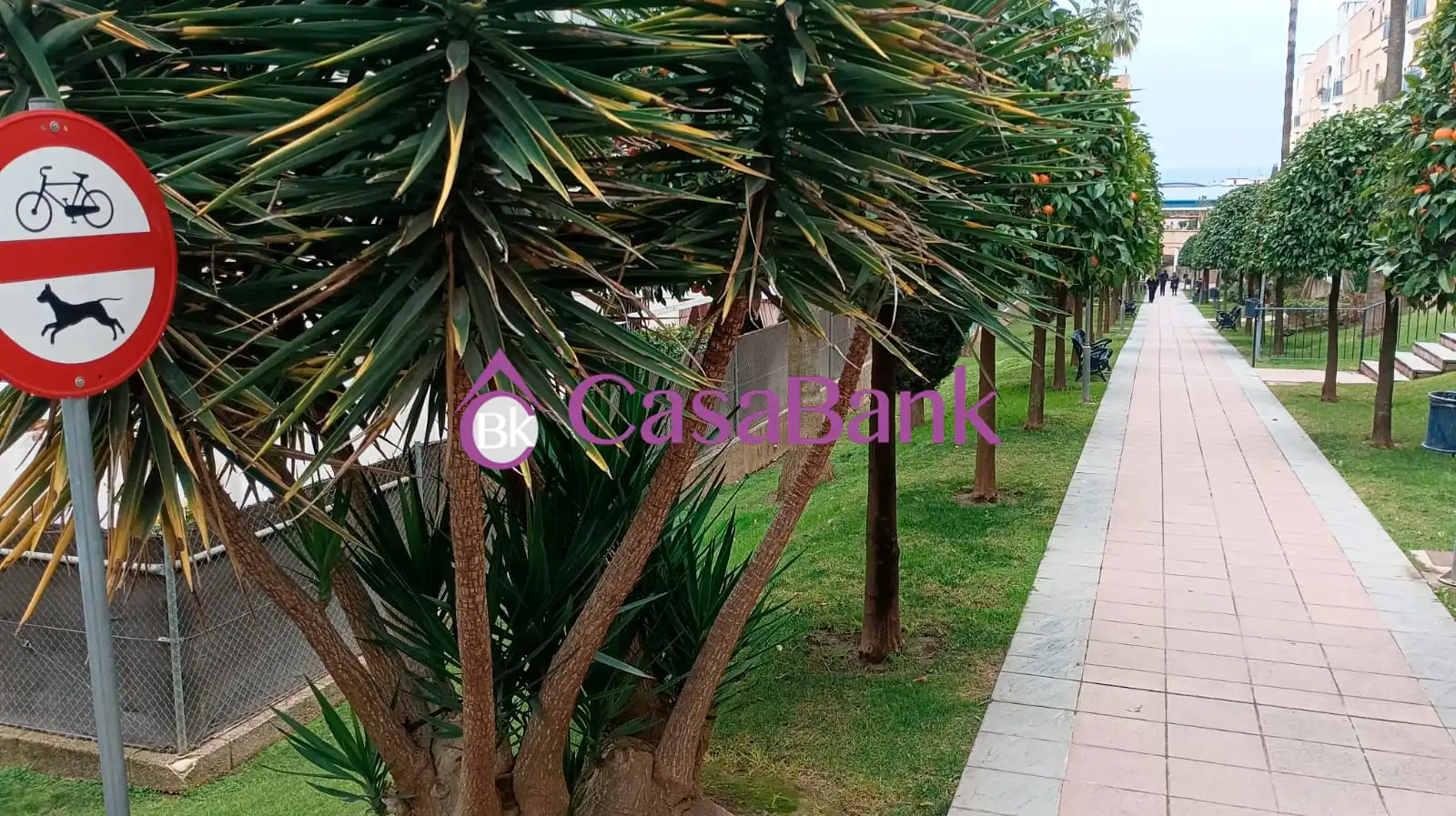 Piso con ascensor en venta en Levante, imagen 17