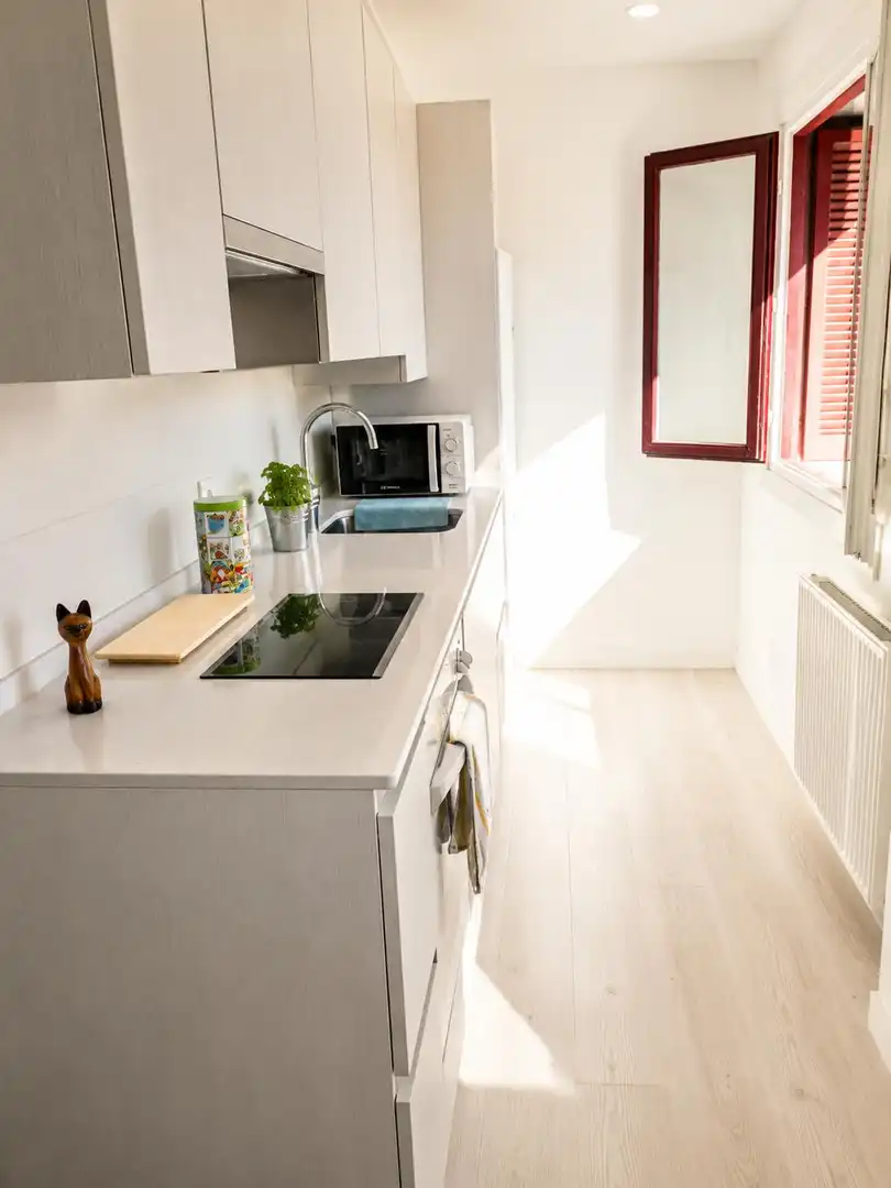 Cocina de Piso de alquiler en Donostia - San Sebastián  con Microondas y TV