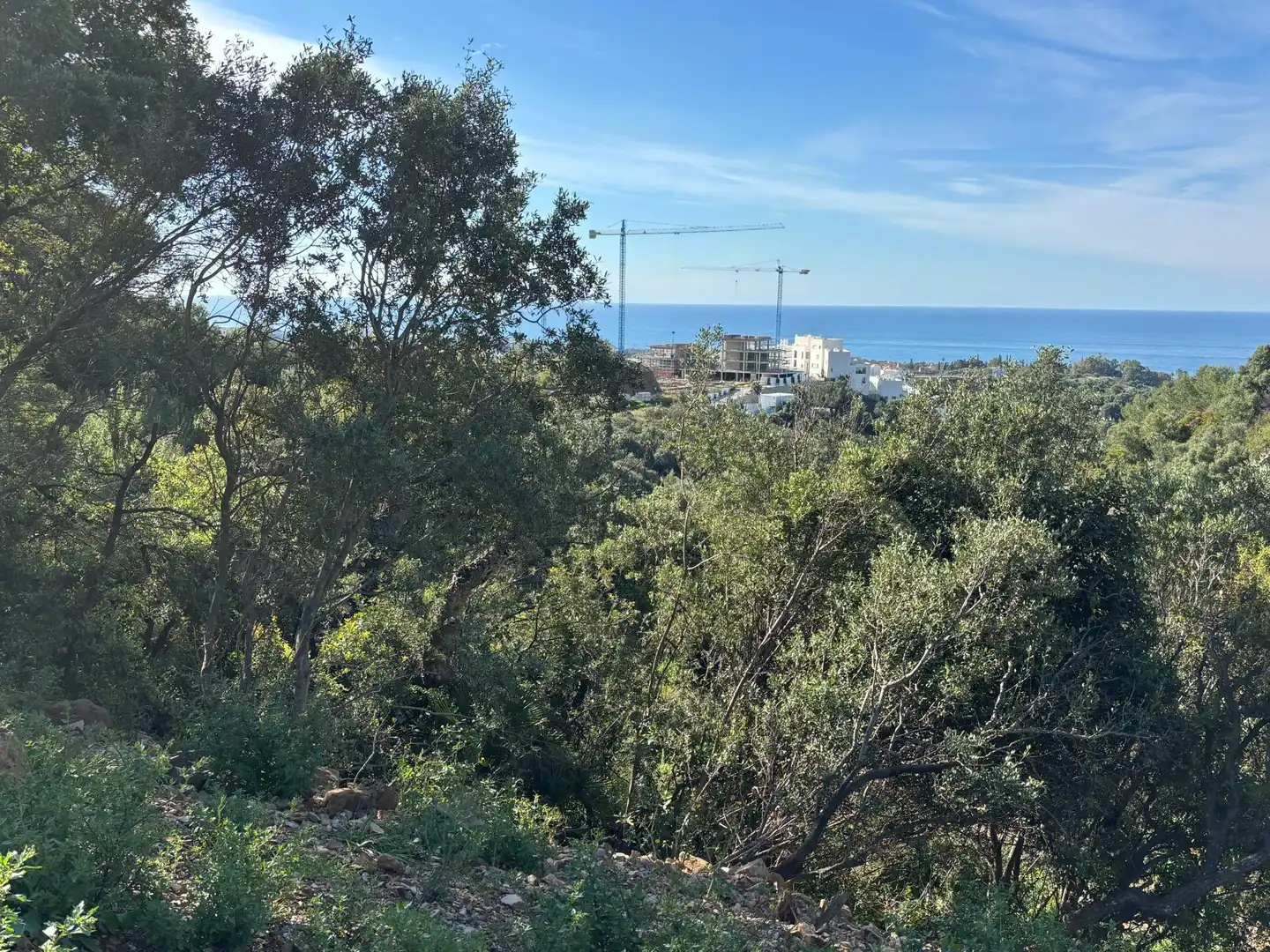 Terreni e lotti in vendita a Río Real - Los Monteros, imagen 4
