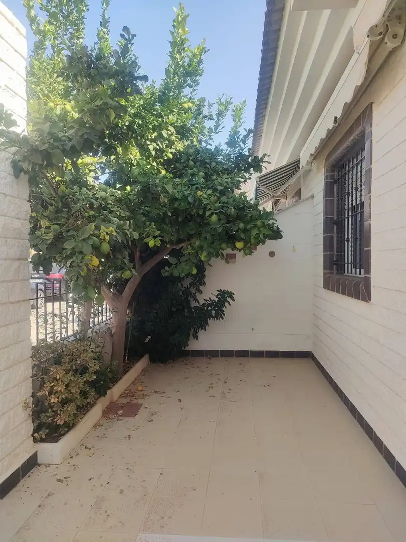Jardí de Finca rústica en venda en Pilar de la Horadada amb Aire condicionat, Terrassa i Moblat