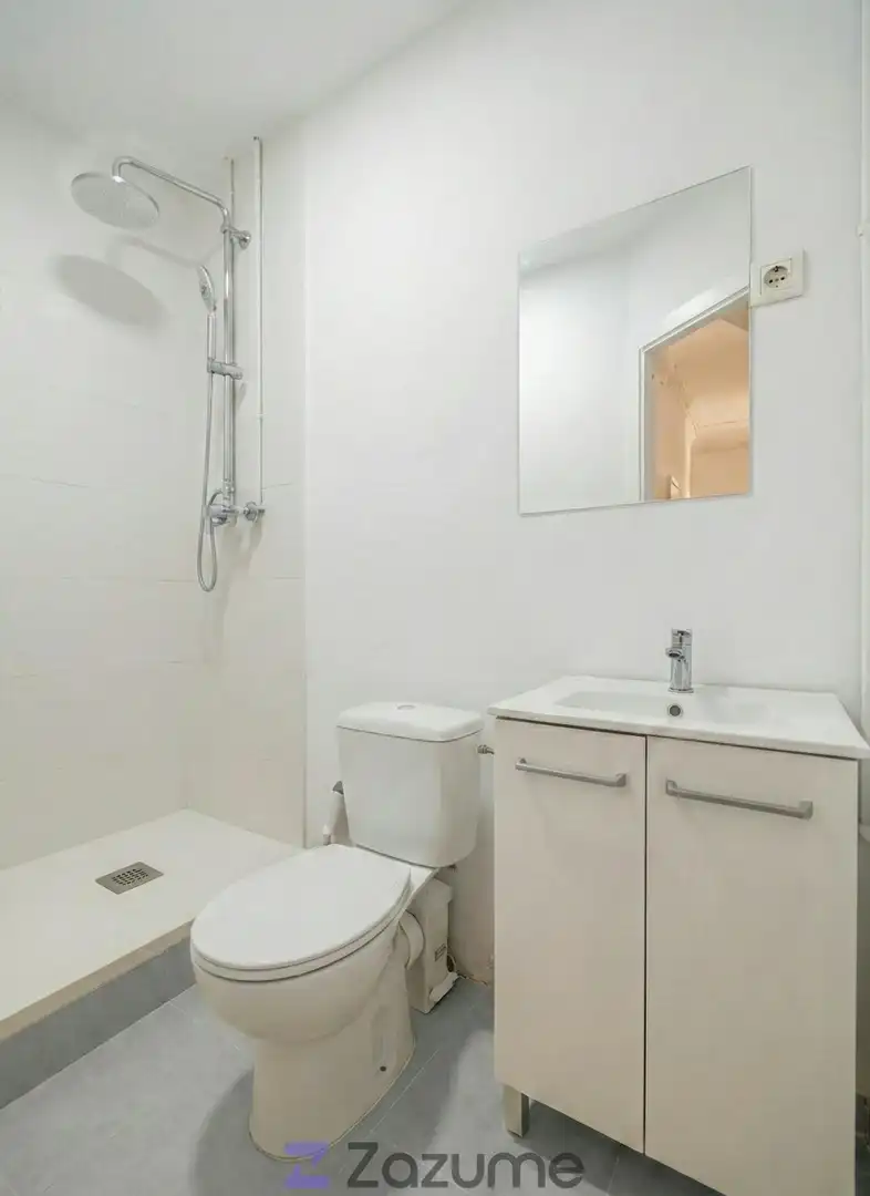 Bany de Apartament de lloguer en Barcelona amb Terrassa i Es permeten mascotes