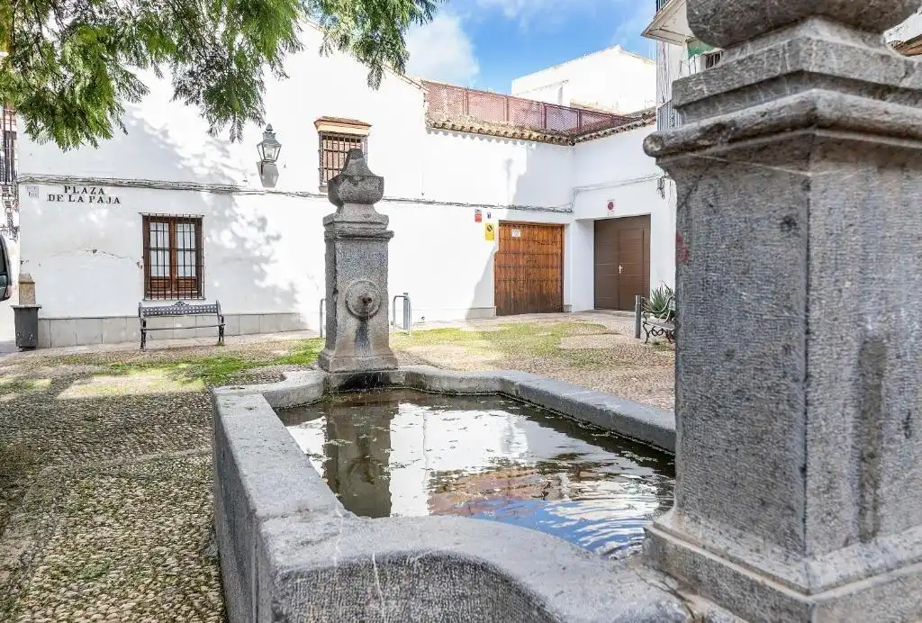 Business premises for sale in Calle Padre Cosme Muñoz, imagen 11