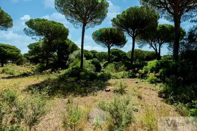 Terrenys i solars en venda a Novo Sancti Petri, imagen 6