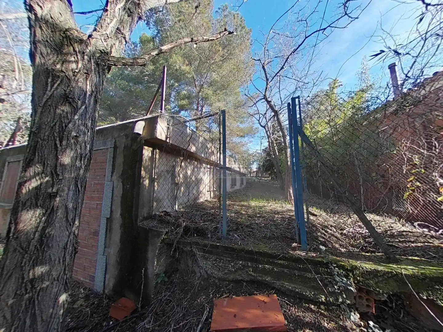 Terrain résidentiel à vendre à Almoster, imagen 2