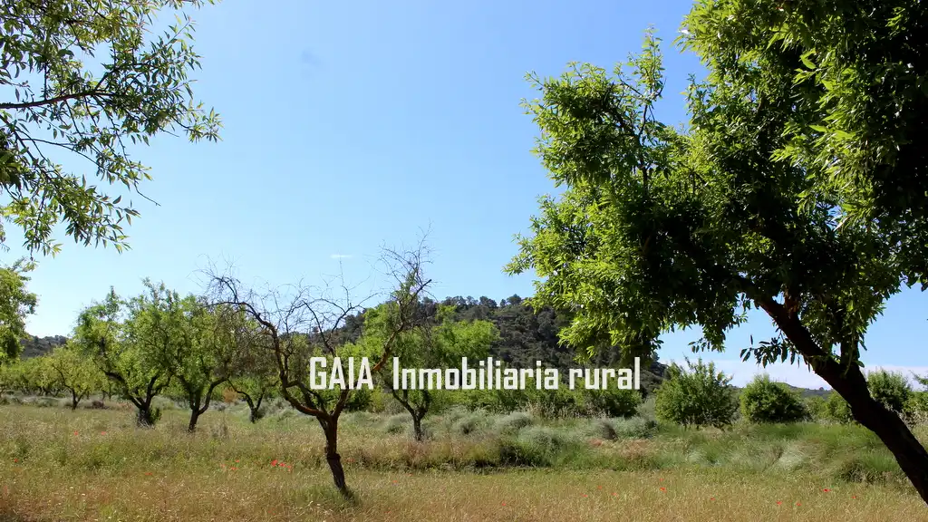 Country homes for sale in Fabara