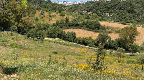 Finca en venta en Gaucin., imatge 4
