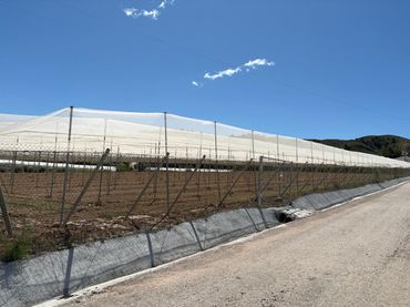 Terreno rustico in vendita a Totana