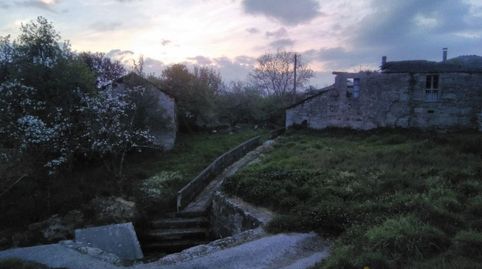 Corgo OCasa, image 5