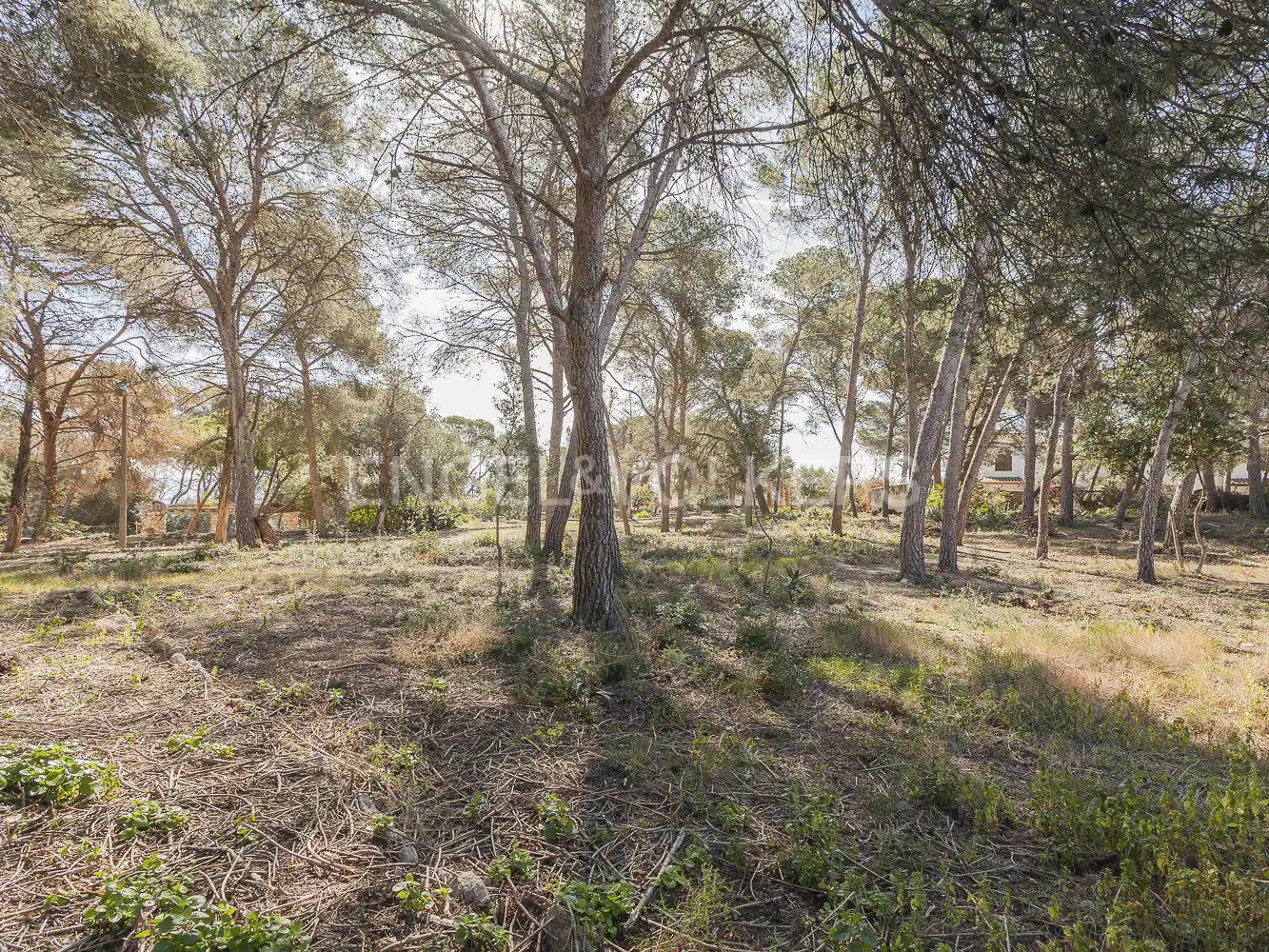 Edificio en venta en Torredembarra