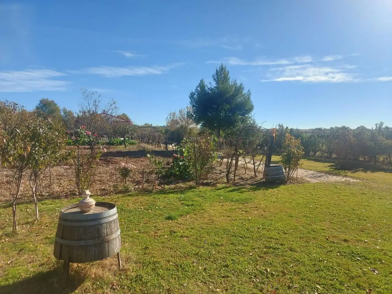 House with pool for sale in Fuente El Saz de Jarama, imagen 46
