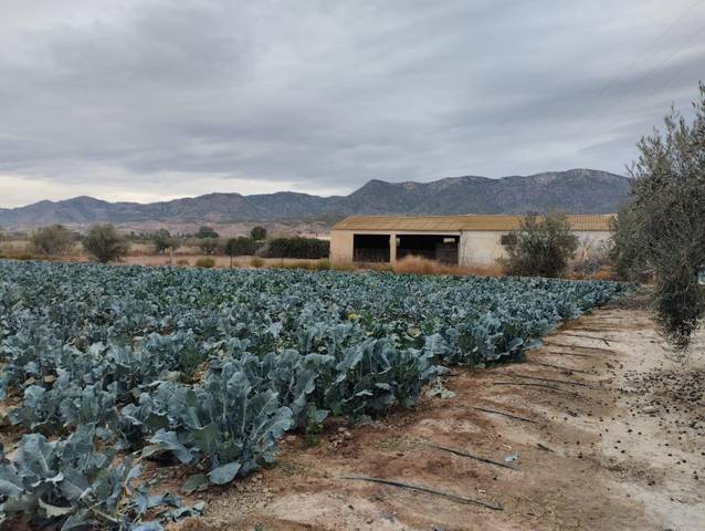 Terreno en Venta en Hinojar