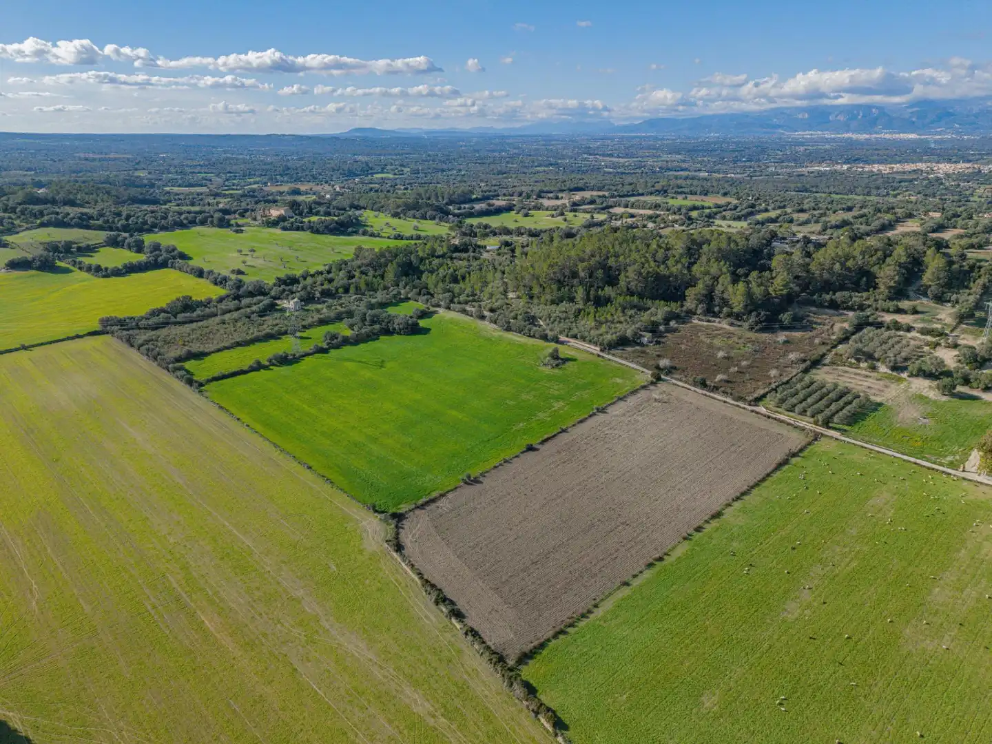 Grundstücke und Bauplätze zum Verkauf in Llubí, imagen 13