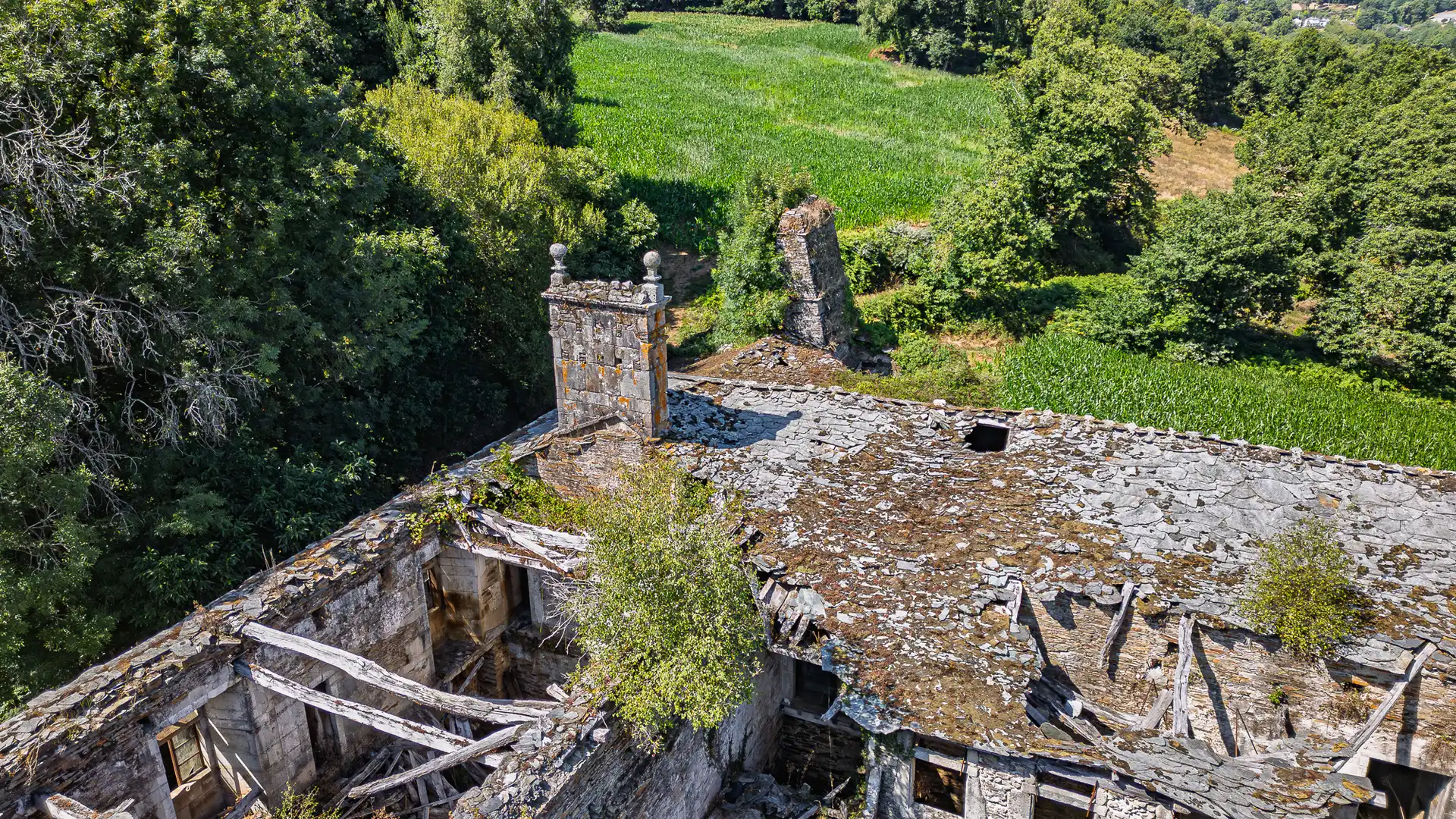 Vista exterior de Finca rústica en venta en Castroverde con Amueblado
