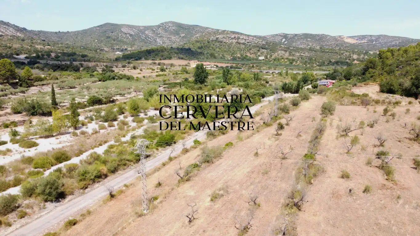 Terreno rustico in vendita a Cervera del Maestre, imagen 9