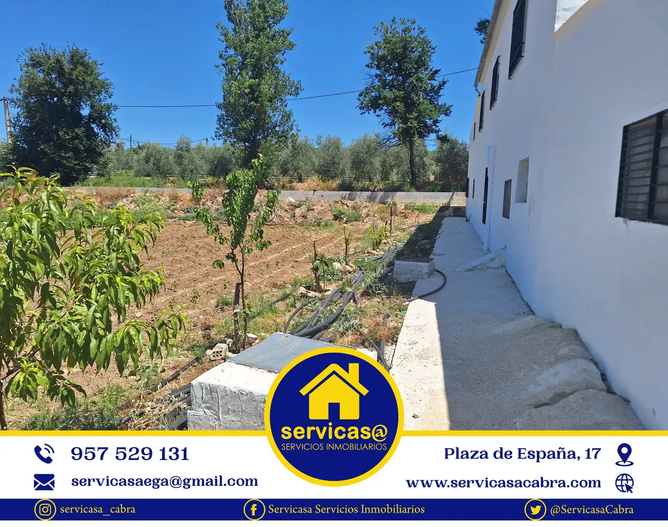 Finca rústica en venta en Cabra