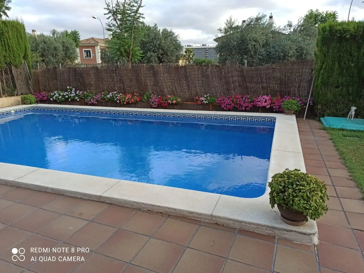 Villa mit Pool zum Verkauf in Olivar de Quintos