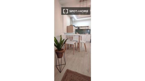 Photo 3 of Room in Centro, Valladolid Capital