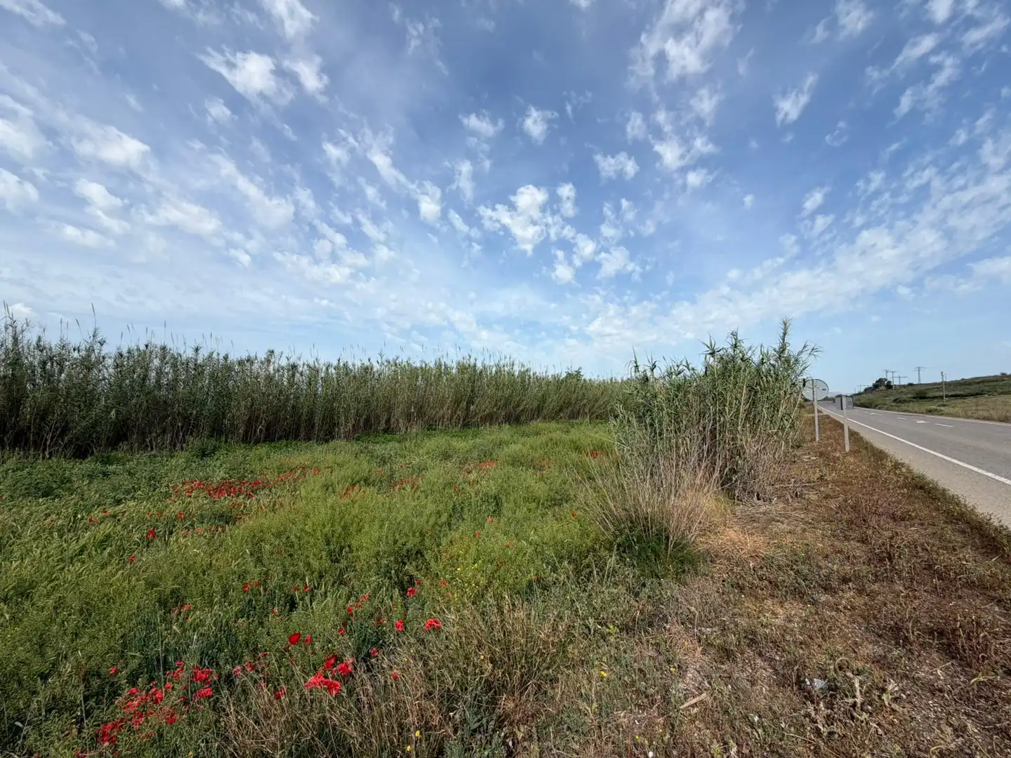 Rural land for sale in Albalate de Cinca