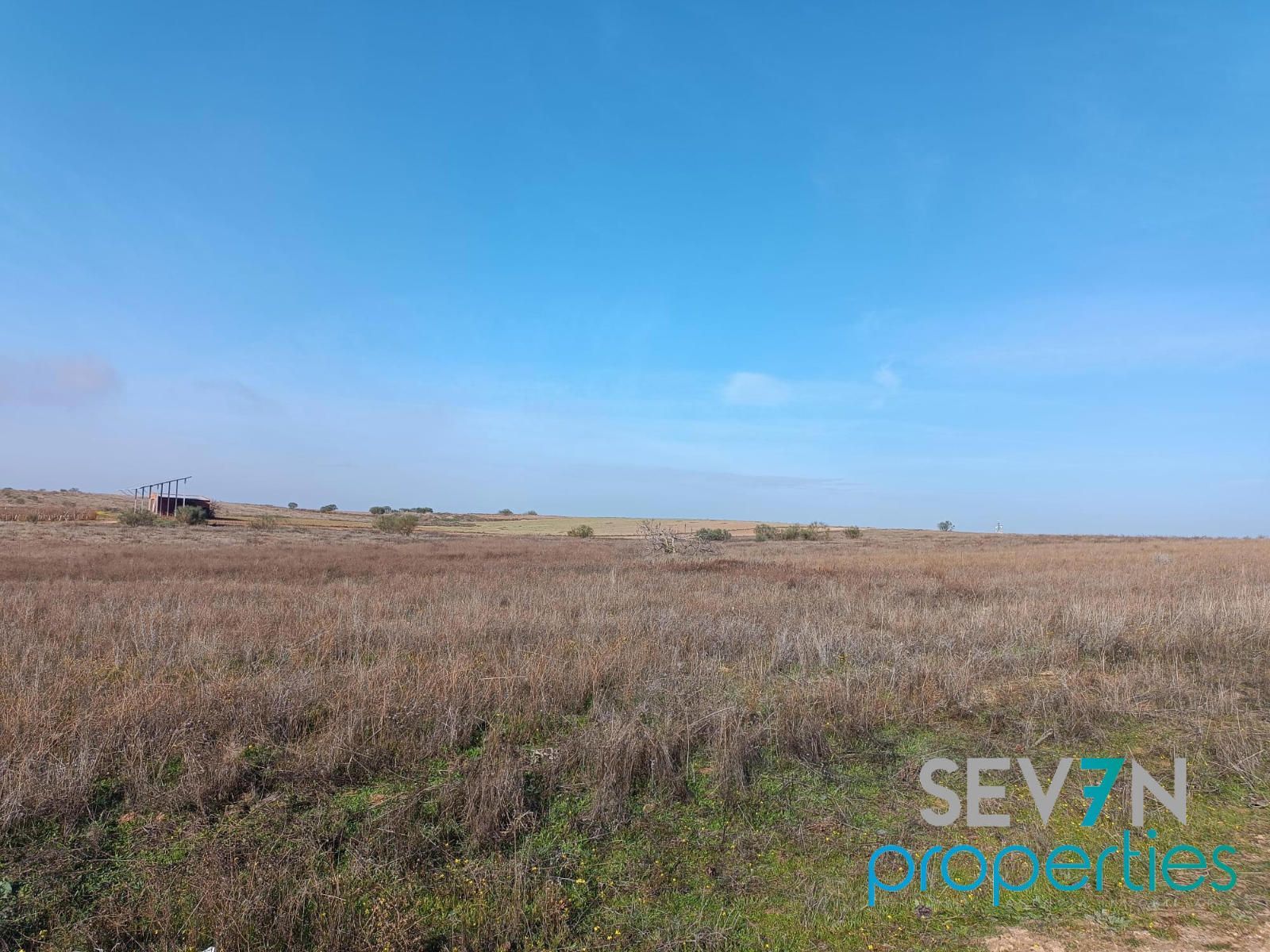 Grundstücke zum verkauf in Camarena