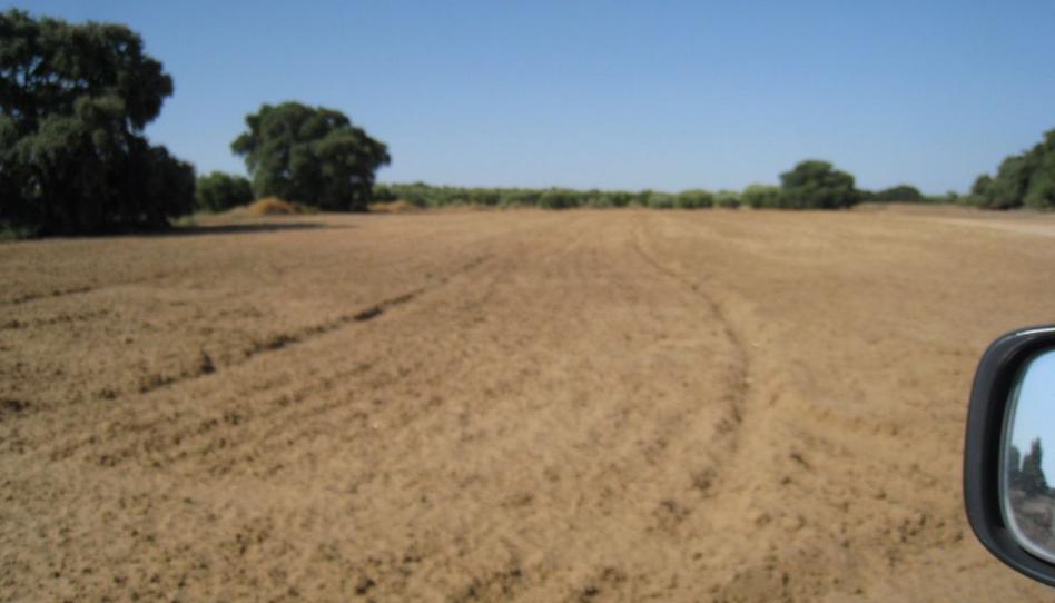 Foto 1 de Finca rústica en venda a Marchena, Sevilla