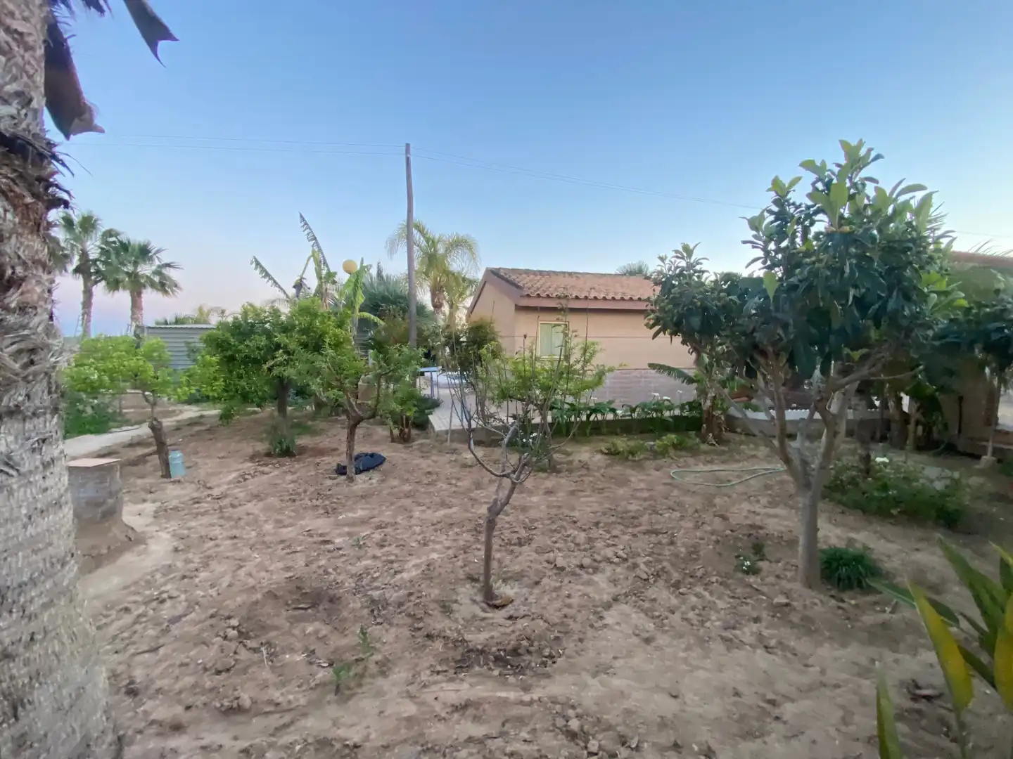 Finca rústica en venda en Elche / Elx amb Jardí privat, Terrassa i Piscina