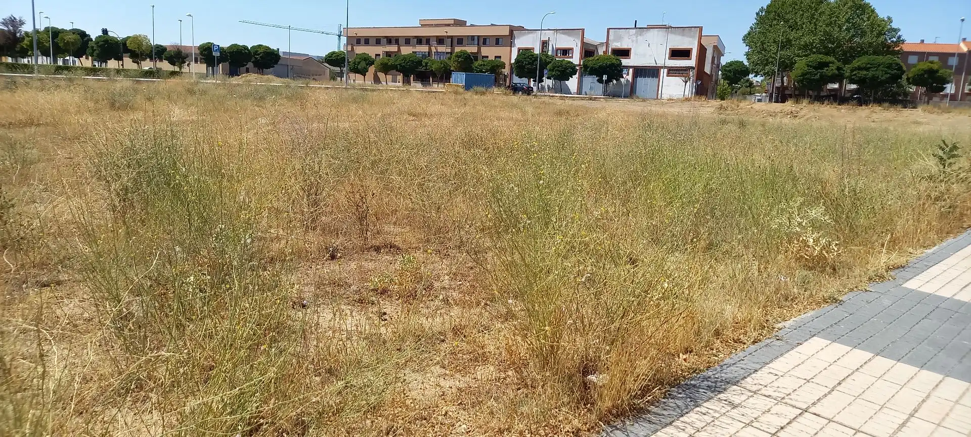 Lands and plots for sale in Rollo - Puente Ladrillo, imagen 7