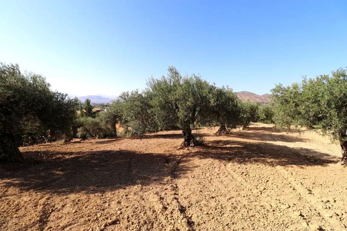Finca rústica en venta en Alhaurín El Grande