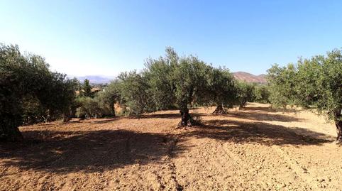 Foto 3 de Finca rústica en venda a El Platero, Centro, Málaga